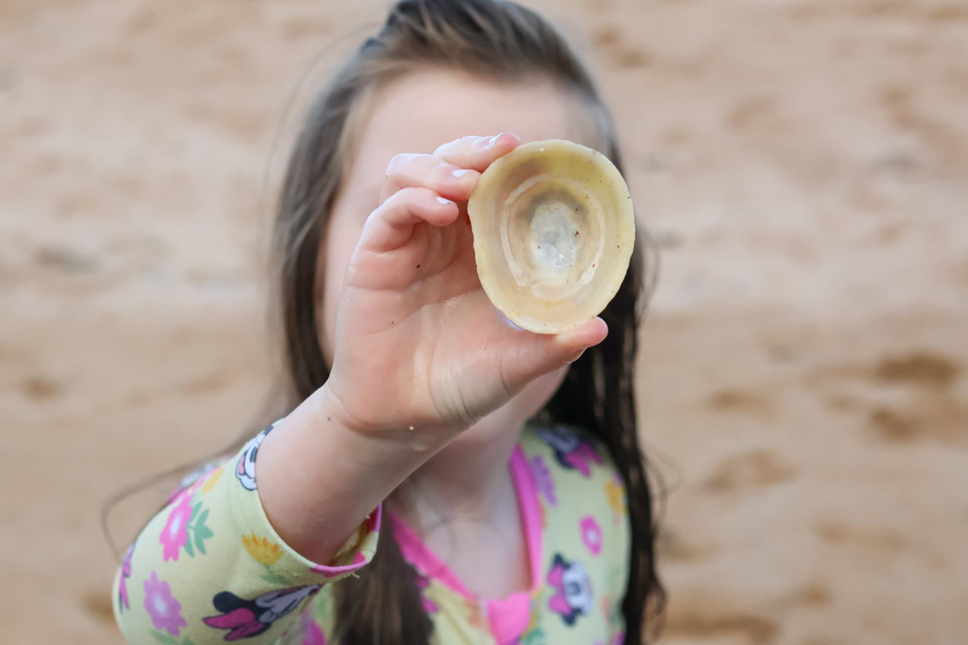 A child holding up a shell discovered on the beach