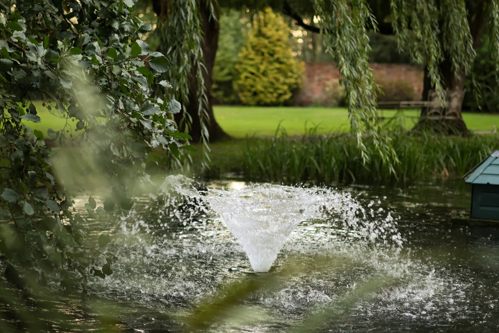Water fountain spraying across a shaded garden pond
